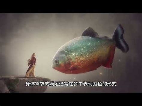 夢到兩隻魚號碼